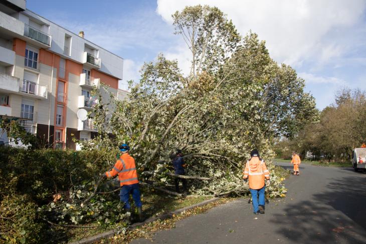 Tempete Domingos à Rochefort