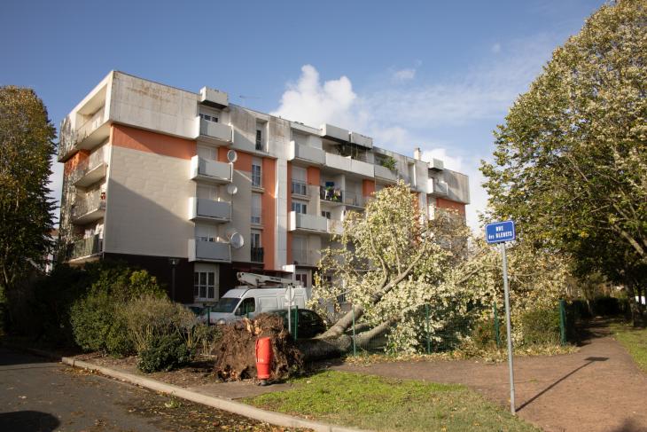 Tempete Domingos à Rochefort