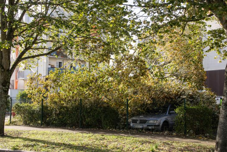 Tempete Domingos à Rochefort