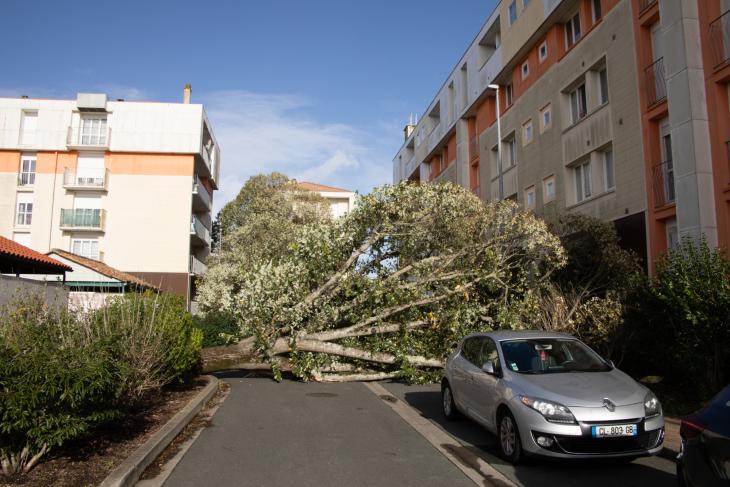 Tempete Domingos à Rochefort