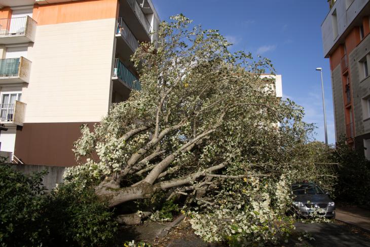 Tempete Domingos à Rochefort
