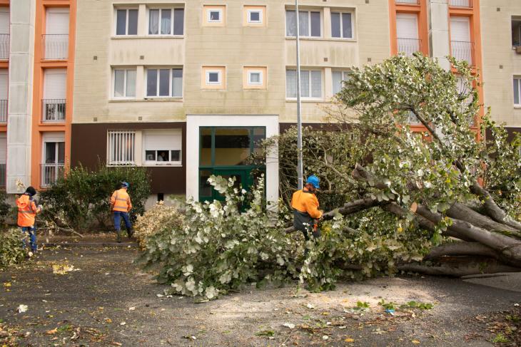 Tempete Domingos à Rochefort