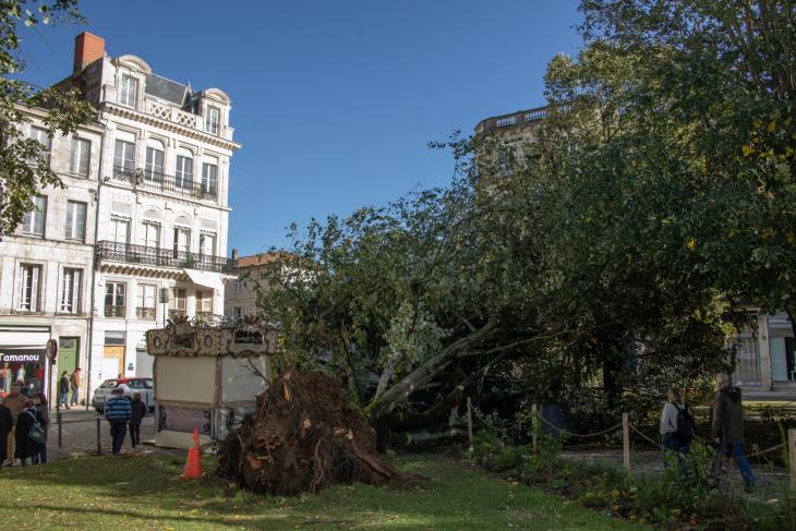 Tempete Domingos place Colbert