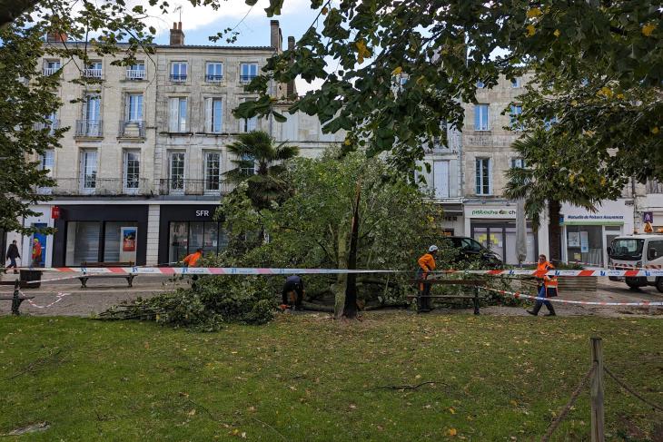 Tempete Domingos place Colbert