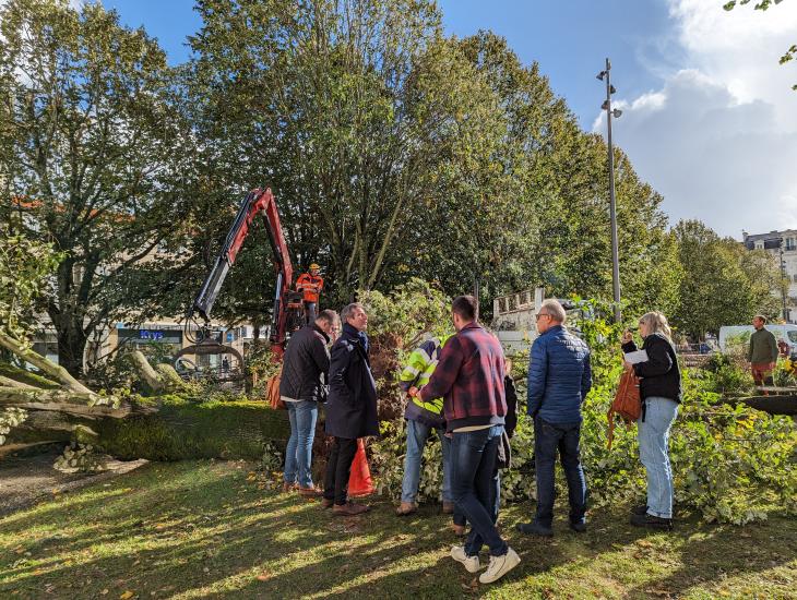 Tempete Domingos place Colbert