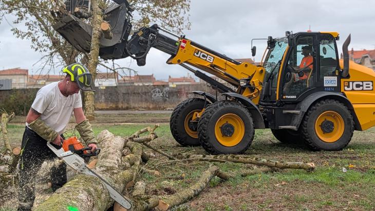 photo d'abattage d'arbre cours d'Ablois