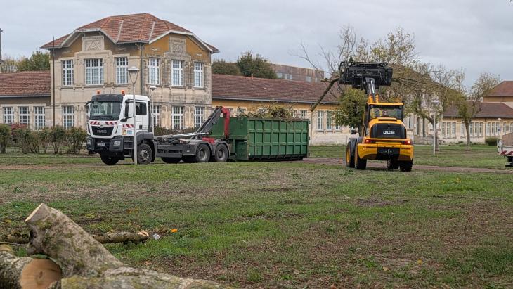 photo d'abattage d'arbre cours d'Ablois