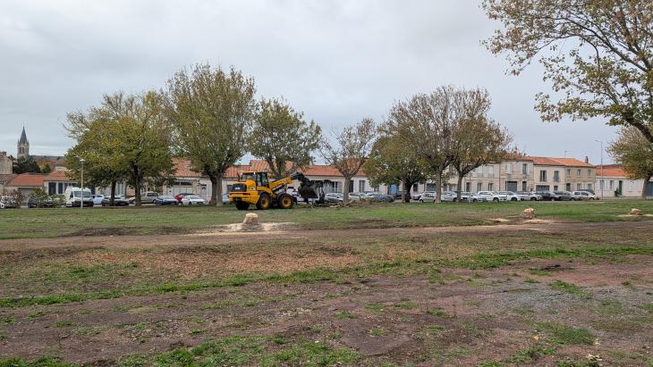 photos abattage des arbres cours d'Ablois