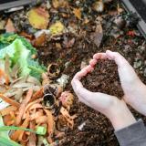 compost