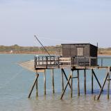 photo carrelet 