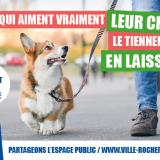 Chien en laisse