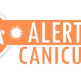 vigilance orange