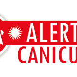 Alterte canicule