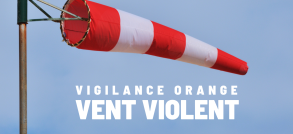 vigilance vent violent 