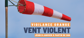 Alerte vent violent 
