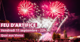 visuel feu d'artifice