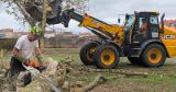 photo d'abattage des arbres cours d'Ablois 